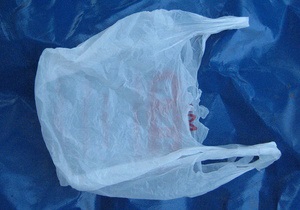 Ученые: Пластиковые пакеты переносят кишечную палочку и сальмонеллу