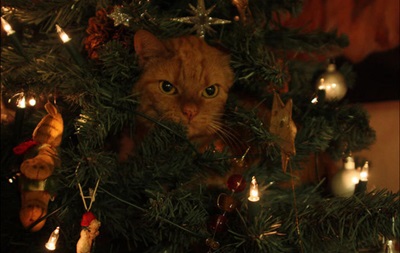 Куклачов закликав не робити з кішок новорічні ялинки