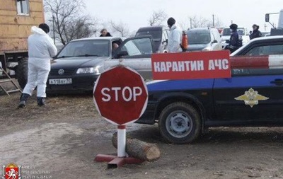 В Крыму ввели режим ЧС из-за африканской чумы свиней