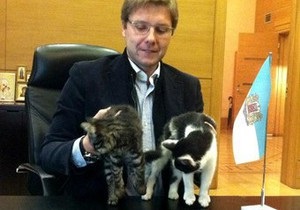 Мэр Риги выбрал двух официальных котов города