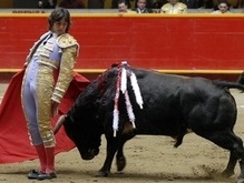 Американцы клонируют быка для испанской корриды