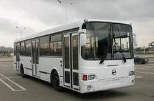 В Киеве планируют запуск ночных автобусов