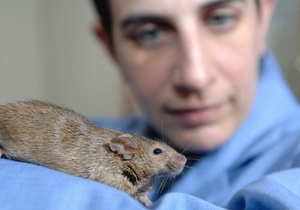 Ученые в Японии клонировали мышь из капли крови