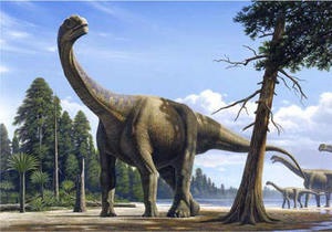 DW: Как брахиозавр похудел вдвое
