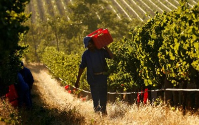У ПАР схвалили закон про експропріацію землі білих фермерів
