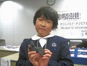 Японская школьница обнаружила неизвестную науке креветку
