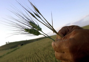 Минагрополитики прогнозирует в Украине рекордный урожай зерновых