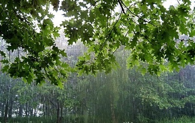 Неделя в Украине начнется с дождями и грозами