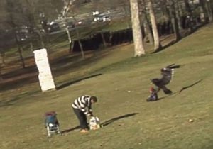 Канадские студенты признались в подделке видео, на котором орел похищает ребенка