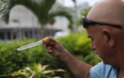 В Сингапуре заявили о новых случаях заражения вирусом Зика