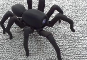 Кошмар арахнофоба: китайцы распечатали на 3D-принтере  танцующего паука 