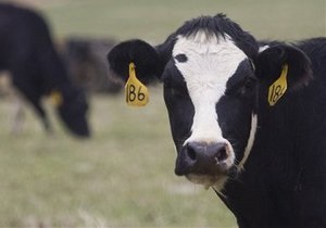 Производитель молочных продуктов с активами в Украине планирует IPO