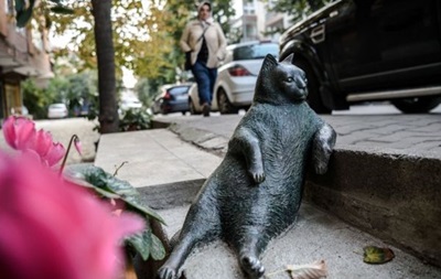 В Стамбуле вернули украденный памятник кошке-мему 