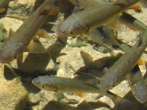 Прогноз погоды на завтра, 9 сентября