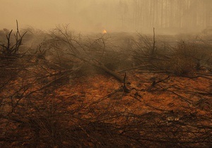 Гидрометеорологи опровергают заявление МЧС о задымлении Киева из-за пожаров в России