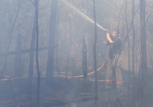 Попов поручил обеспечить надлежащую охрану киевских лесов от пожаров