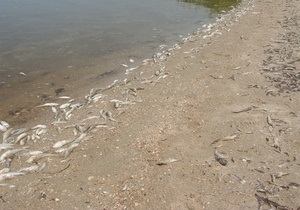 В Николаевской области произошел массовый мор рыбы