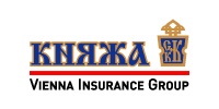 Итоги работы  Уск  Княжа Vienna Insurance Group  за 12 месяцев 2009 года