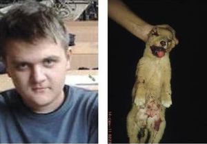19-летнего киевлянина, убивавшего бездомных собак, приговорили к четырем годам тюрьмы