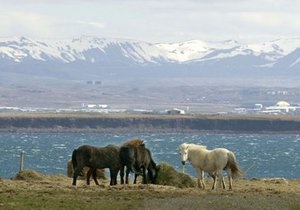 В Исландии четыре американца оказались на отколовшемся айсберге