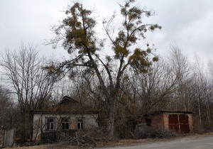 Би-би-си: Лесной пожар в Чернобыле сродни взрыву атомной бомбы?