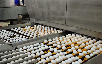 Українські м ясо і яйця заборонили ще в одній країні