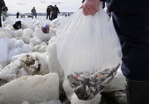 В Киевском море погибло более 50% рыбы