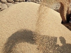 Власти сделали прогноз по урожаю зерновых в Украине в этом году
