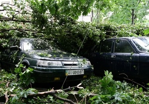 В Киеве над Соломенкой пронесся ураган. Повреждены деревья и автомобили