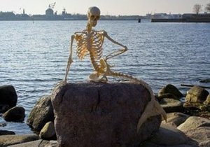 В Копенгагене выставили скелет вымершей русалки
