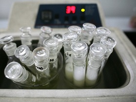 Ученые намерены создать новый штамм H5N1 вопреки запрету