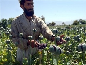 Вашингтон признал неэффективность борьбы с производством наркотиков в Афганистане