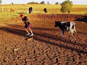 Из-за засухи в трех регионах России объявлен режим чрезвычайной ситуации