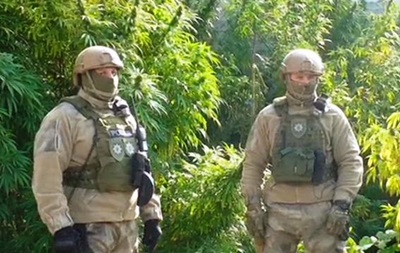 В Одесской области изъяли марихуану на 16 млн гривен