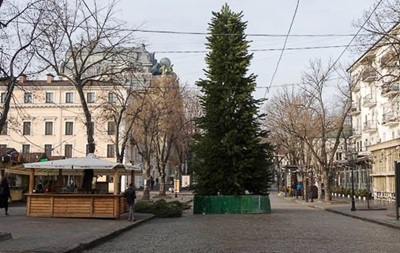 В Одессе для елки на Дерибасовской срубили 400 сосен