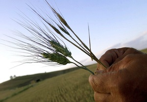 Ъ: Кабмин может обязать зернотрейдеров финансировать выращивание зерна