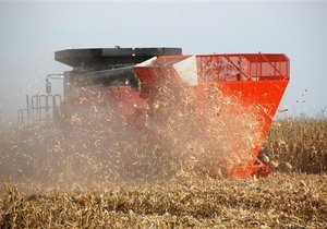 Продажа зерновых квот на аукционах: Американская Торговая Палата обратилась к Януковичу