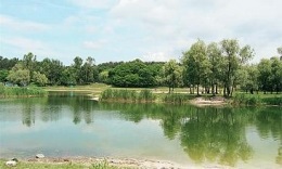 В Киеве в озере утонула женщина