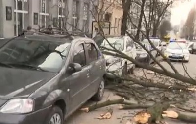 У Києві дерево пошкодило два авто