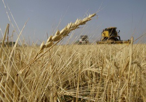 Минагрополитики повысило прогноз урожая зерновых в Украине до 47 млн тонн