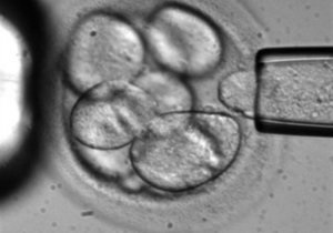 В США появился на свет ребенок из замороженного 20 лет назад эмбриона