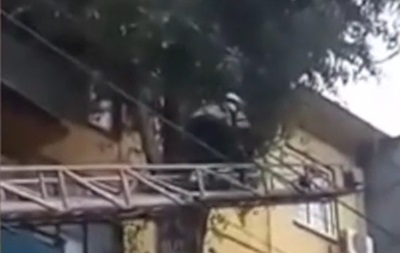 В Кривом Роге спасатели снимали ребенка, застрявшего на дереве 
