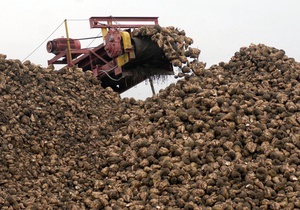Ъ: Украина сократит посевы сахарной свеклы из-за перепроизводства сахара