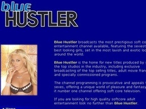 Нацсовет по телевидению не счел Hustler TV порноканалом