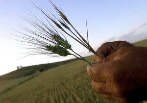 Россия предоставит Монголии 57 тысяч тонн фуражного зерна