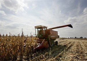 Украина намерена распределить квоту на экспорт кукурузы на аукционе