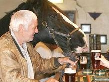 В Британии лошадь-завсегдатая паба принудили бросить пить