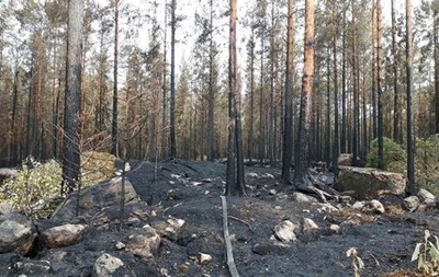 У Фінляндії рекордна кількість лісових пожеж