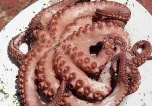 У берегов Флориды выловили осьминога с девятью щупальцами