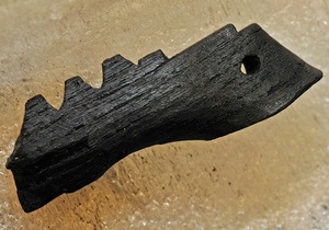 В Шотландии найден самый древний в Европе струнный инструмент